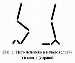 А продемонстрируете свои ножки?