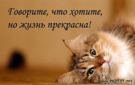 покажите своё настроение...