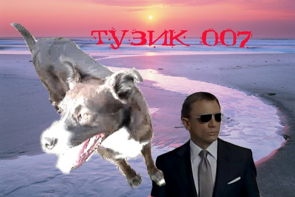 Ирчане, а покажите своих собачёнков? (котов не показывать все уже насмотрелись..)