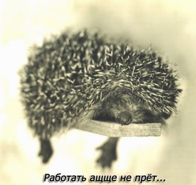 покажите своё настроение...