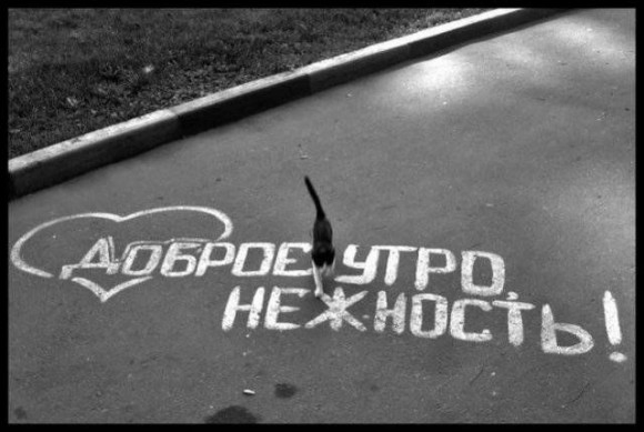 Как выглядит "Доброе утро"?