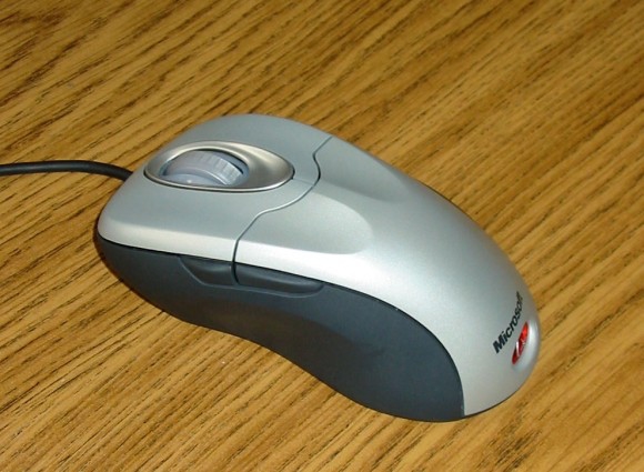 А как выглядит Она Ваша не заменимая и Любимая........компьютерная мышка?