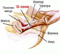 Что означает поза догги стайл. Смотреть фото Что означает поза догги стайл. Смотреть картинку Что означает поза догги стайл. Картинка про Что означает поза догги стайл. Фото Что означает поза догги стайл