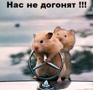 Давайте посмеёмся?! Что вам поднимает настроение?