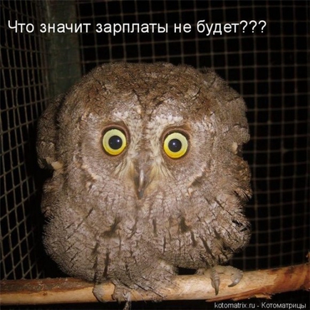 как на вас отразился кризис ?
