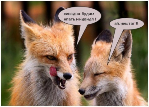 Давайте посмеёмся?! Что вам поднимает настроение?