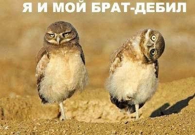Давайте посмеёмся?! Что вам поднимает настроение?