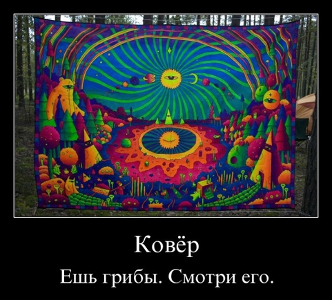 Ваш любимый ковёр?!