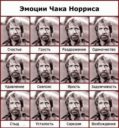 Как на ваш взгляд выглядит бабник?