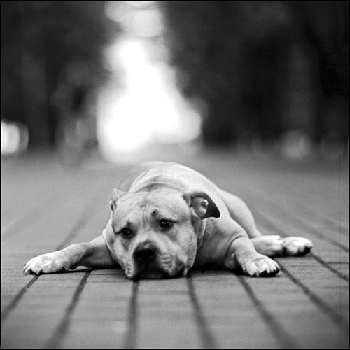 mm..kaada pirmsweetku sajuuta jums?!