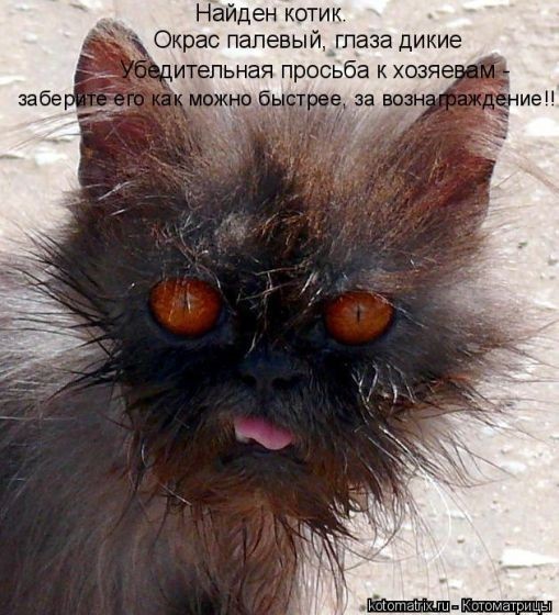 Что сделали бы с надоедами у которых сейчас только сегодняшнее число в голове?