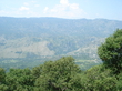 gora