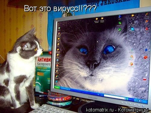 Шок это что по вашему?