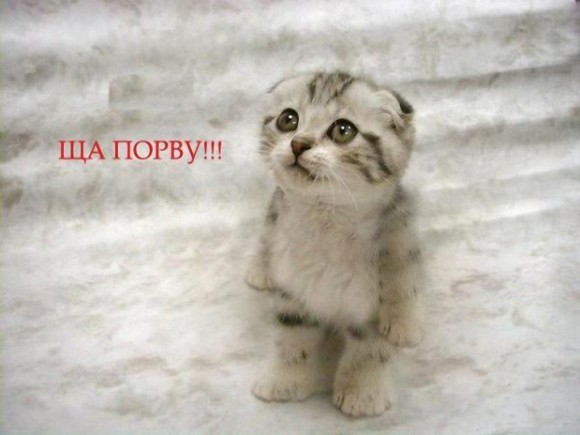 Отражение Вашей души , какое ОНО ?