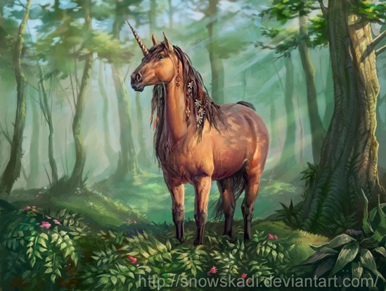 Vai vari ielikt savu mīļāko zirga vienradža (unicorn) bildi lai priecētu acis?