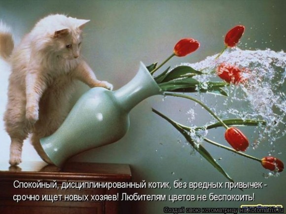 Помагите поднять настроение(