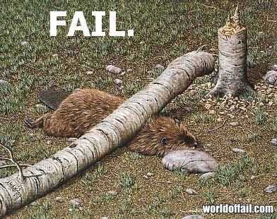 ваша любимая fail картинка?