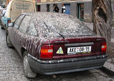 ваша любимая fail картинка?