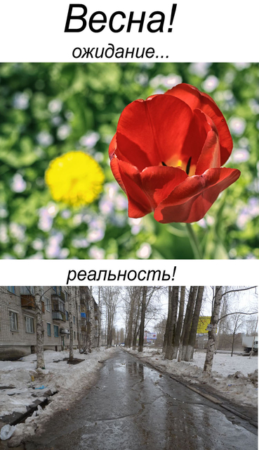 У нас только так, только весна, только хардкор )))