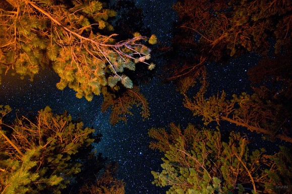 картинка на тематику "лежать на траве и смотреть на звездное небо"?
