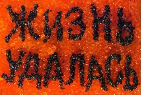Как выглядит ваша жизнь? 
