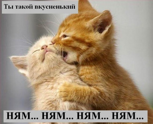 Есть фото где кто-то кого-то кусает?