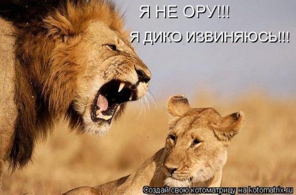 Покажите что (или кто) может испортить вам настроение?