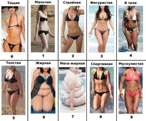 Начиная с каких параметров и форм женская фигура уже может считаться пухлой или толстой? 