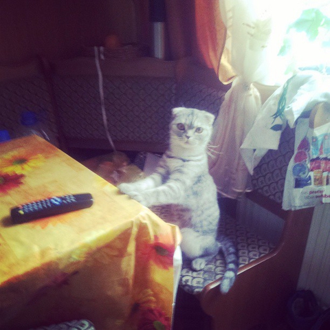 Бася готова кушать :3 :D
