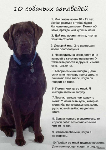 Parādiet nodevību?