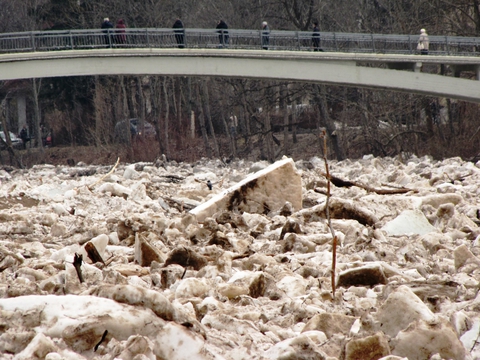 затор льда в реке огре 17.04.2013 (2)найди ворону