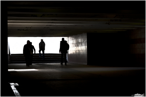 into the light.