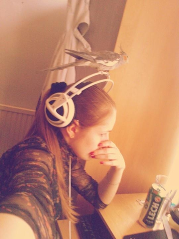 ;DDlol