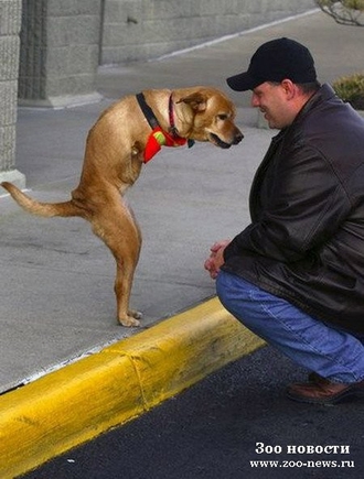 А как испортить настроение?