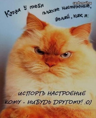 А как испортить настроение?