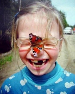 Покажите красивую бабочку?