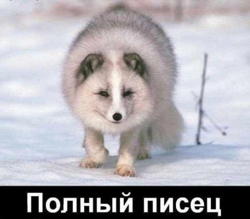как выглядит ваше внутренне Я?