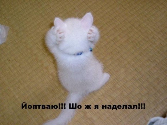 ваша любимая поза