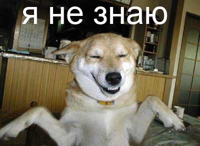 Как вы думаете что собаки видят во снах?))