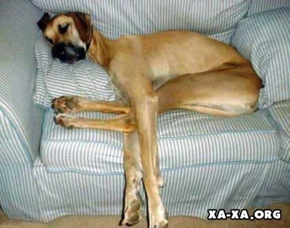 А как вы спите?