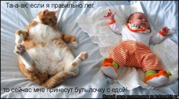 Картинка аоторая провышает вам настраение!