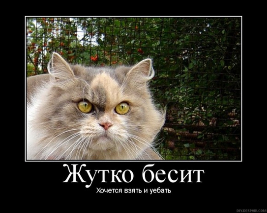 Какое у вас щас настроение?