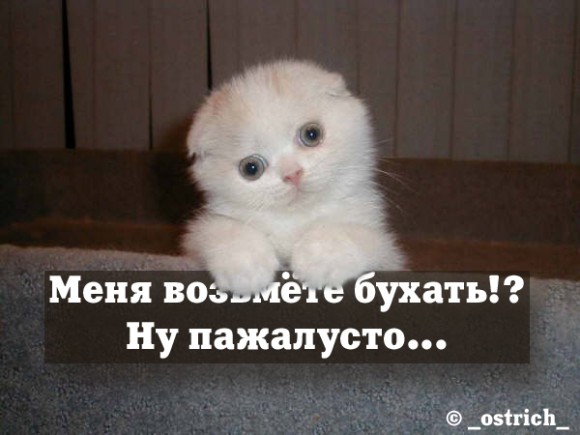 Какое у вас щас настроение?