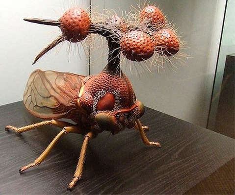 Как выглядит самое страшное не хищное насекомое? Только фото.