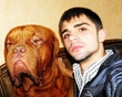 Dogue De Bordeaux))