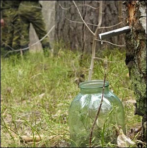 какой ваш самый любимый напиток?