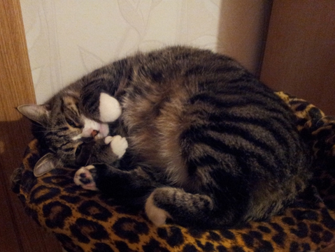 Моя зайка! <3