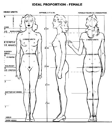 Покажите самые привлекательные женские пропорции тела?