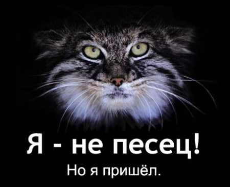 Когда вы злитесь, на какого животного вы похожи?