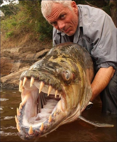 Какая рыба выглядит, как страшный монстр?